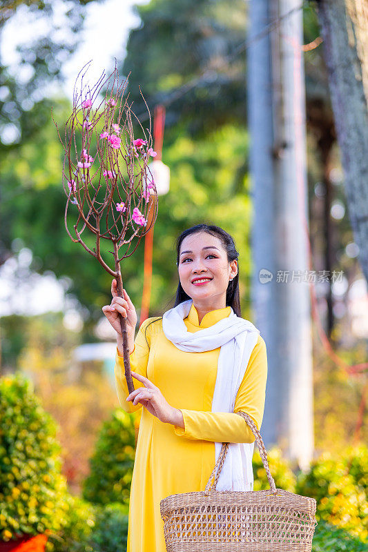 越南女孩穿着传统的ao dai服装，手持花枝在越南享受新年。春节和新年。